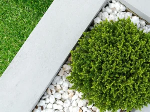 green white landscaping companies in dubai