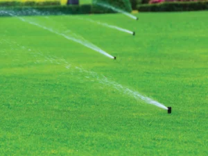 irrigation green best landscaping companies in dubai